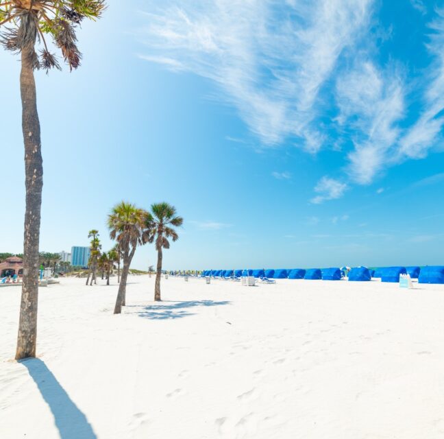 Palm trees and blue cabanas on the white sand of Clearwater Beach