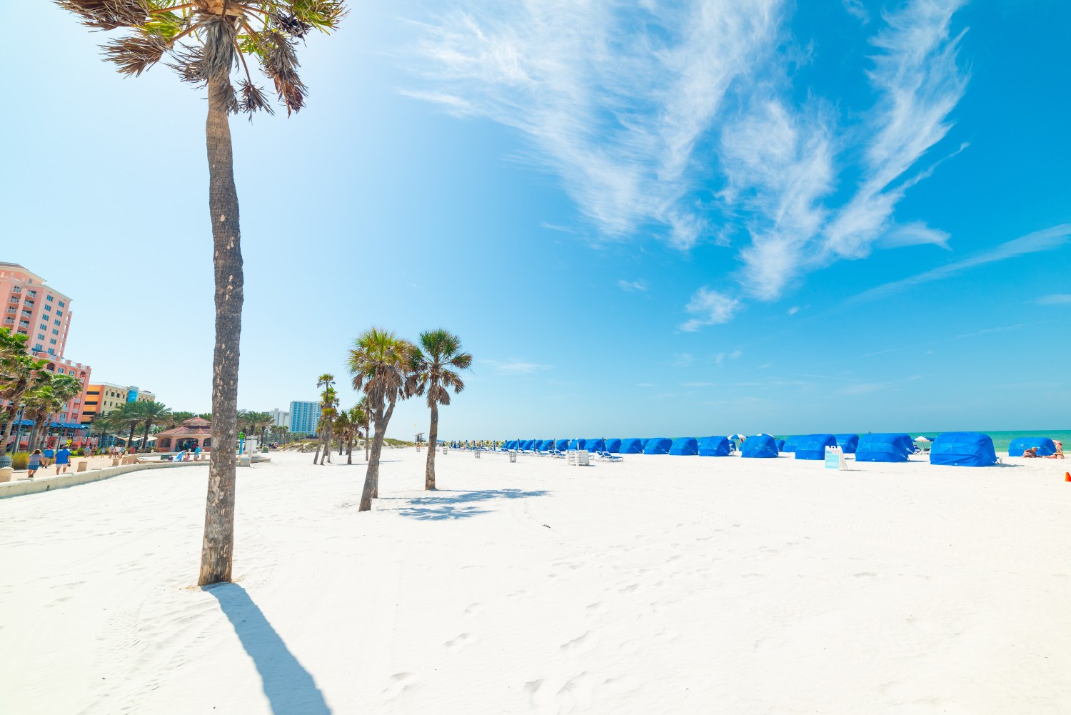 Palm trees and blue cabanas on the white sand of Clearwater Beach