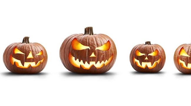 Row of carved jack-o’-lanterns glowing in a line