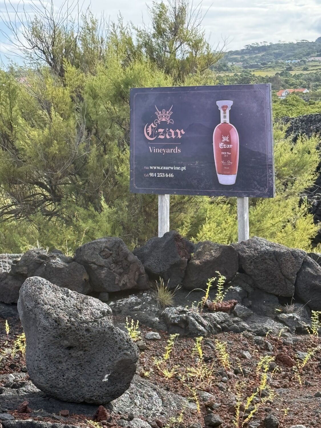 Czar Vineyards sign beside volcanic rock walls on Pico.