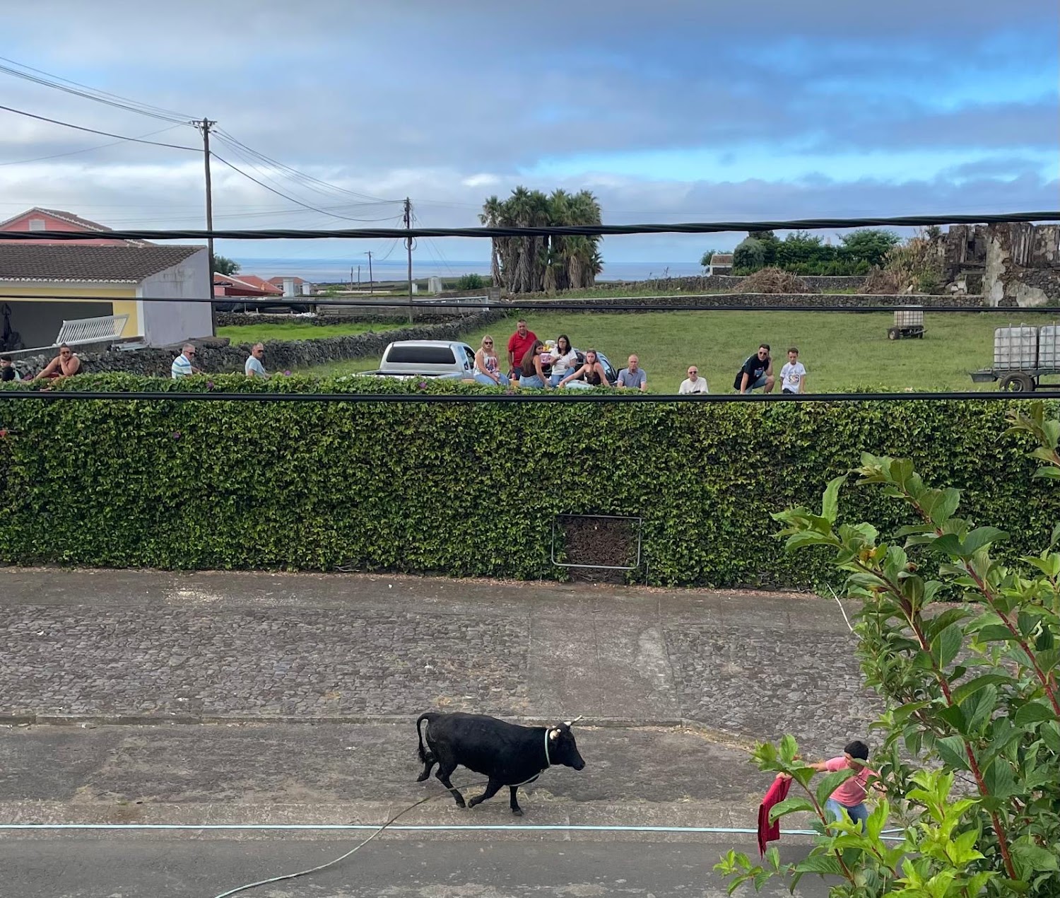Bull running along a village street as spectators watch from a hillside.